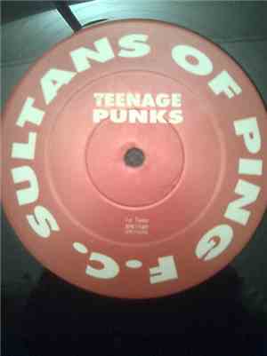 Sultans Of Ping F.C. - Teenage Punks