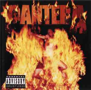Pantera - Reinventing The Steel