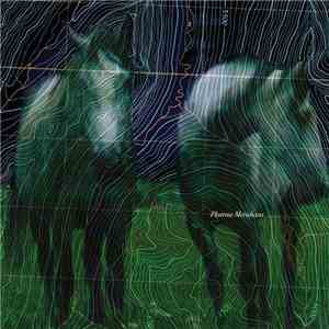 The Current Group - Plateau Meridians