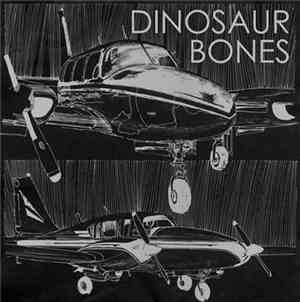 Dinosaur Bones - Royalty / Ice Hotels