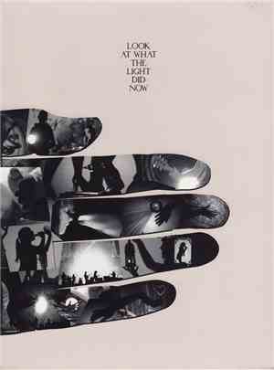 Feist - Look At What The Light Did Now