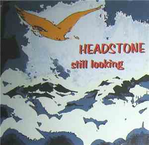 Headstone  - Still Looking