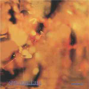 Steamhammer - Reflection