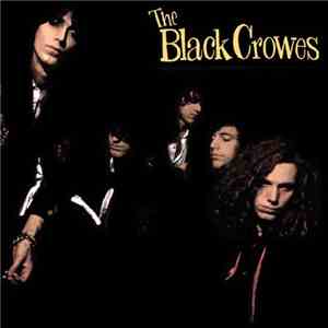 The Black Crowes - Shake Your Money Maker