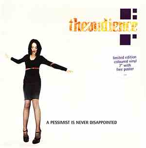 theaudience - A Pessimist Is Never Disappointed