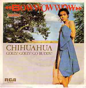 Bow Wow Wow - Chihuahua
