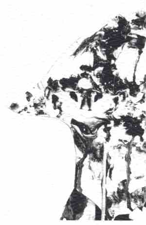 Jazkamer - Failed State Of Mind