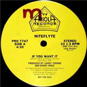 Niteflyte - If You Want It