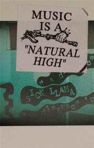 Sick Llama - A Disgrace 'Pon Th' Land Remixx