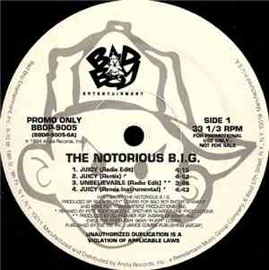 The Notorious B.I.G. - Juicy / Unbelievable