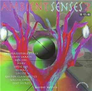 Various - Ambient Senses 2 (The Feeling)