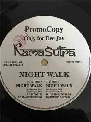 Kamasutra - Night Walk