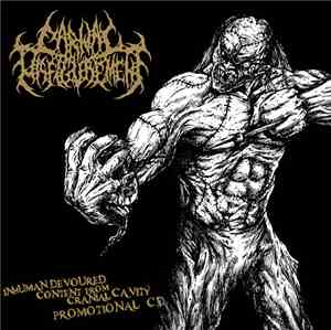Carnal Disfigurement - Promotional CD 2011