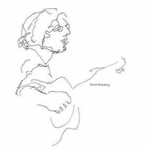 David Bromberg - David Bromberg