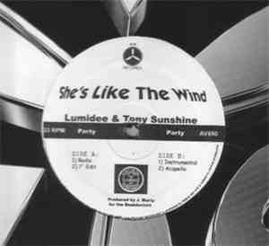 Lumidee & Tony Sunshine - She's Like The Wind