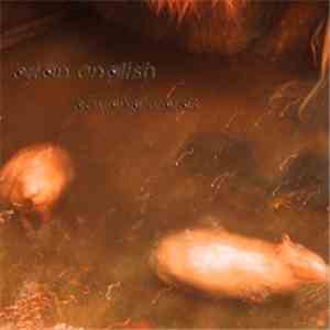 Brian English - Beyond Words