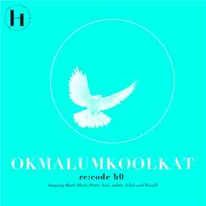 Okmalumkoolkat - re:code H0
