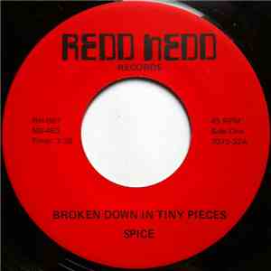 Spice  - Broken Down In Tiny Pieces / Save It For A Rainy Day