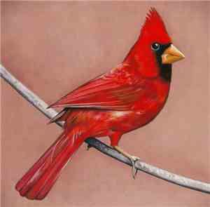 Alexisonfire - Old Crows / Young Cardinals