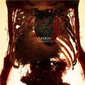 A.n.K.h // - Post Mortem