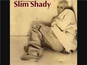 Mr. Fitzpop - This Charming Slim Shady