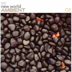 Various - New World Ambient 02