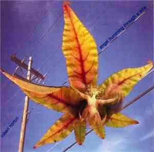 Robert Horton  - Angel Humming Through A Wire