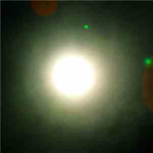 Salamander Wool - Solar Solipsis