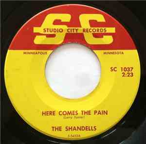 The Shandells - Here Comes The Pain / Summertime Blues