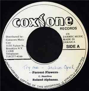 Jackie Opel / Soul Brothers - Try Me / Gujara Ska