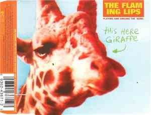 The Flaming Lips - This Here Giraffe