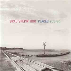 Brad Shepik Trio - Places You Go