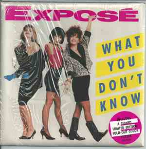 Exposé - What You Don't Know