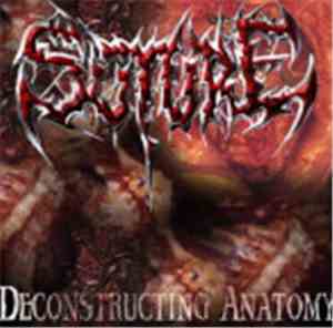 Suture - Deconstructing Anatomy