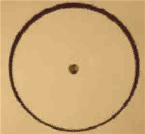 Unbroken Dub - Self Release