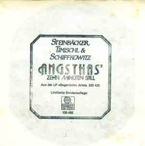 STS  - Angsthas