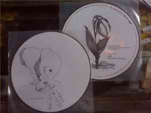 The Pity Party - EP On Vinyl