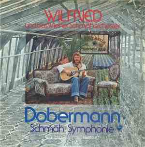 Wilfried - Dobermann