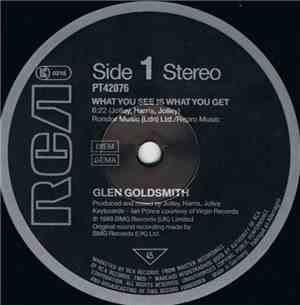 Glen Goldsmith - What You See Is What You Get