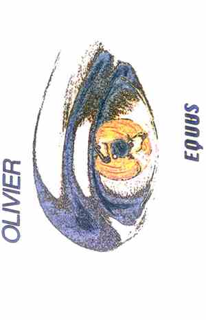 Olivier Brigand - Equus