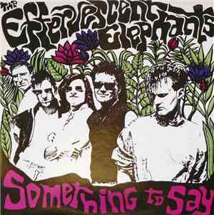 The Effervescent Elephants - Something To Say