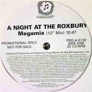 Various - A Night At The Roxbury Megamix