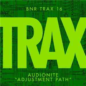 Audionite - Adjustment Path