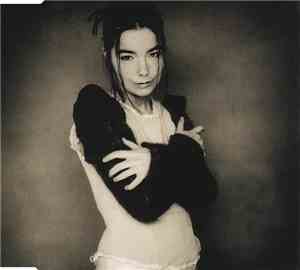 Björk - Human Behaviour
