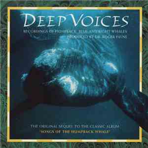 Blue Whale , Humpback Whale, Right Whale - Deep Voices (The Original Sequel ...