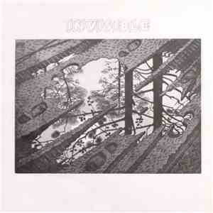 Invisible  - Invisible