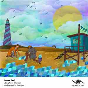 James Teej - Liking Your Disorder