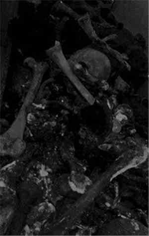 Yersinia Pestis  / Nyarlathotep  - Alliance Of The Black Death