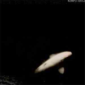 Sick To The Back Teeth - Haze