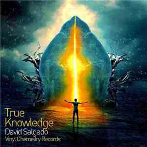 David Salgado - True Knowledge